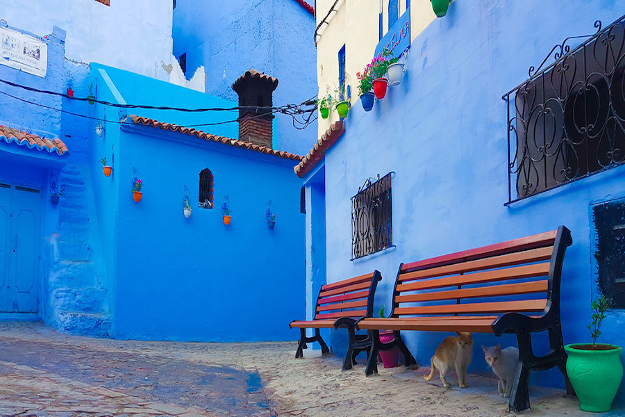  Day Trip from Meknes to Chefchaouen.